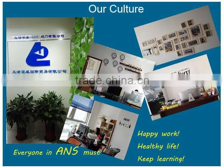Tianjin Ansheng Valve Co., Ltd. company overview - view 1