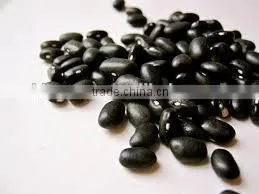 black beans new crop