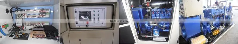 20kW natural gas Driven Generator from Weifang factory with CE/ISO
