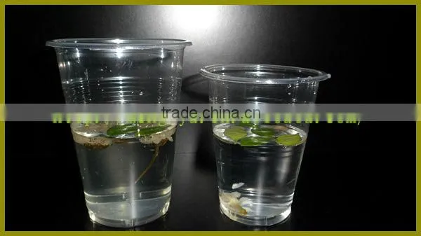 200ml disposable transparent plastic beverage cup