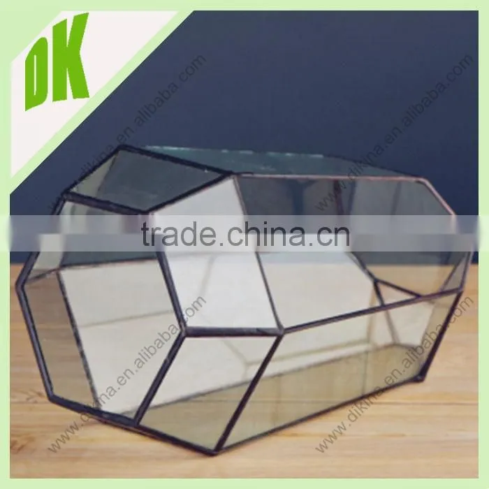 it`s fragile and afraid of hard sun light or big amount of water//geometric glass air plants tillandsia terrarium