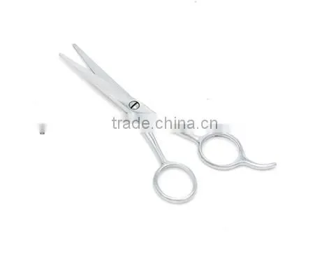 Small Stainless steel Pet Scissors