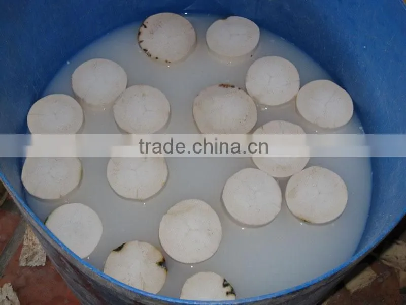 Fresh Young Coconut (Diamond/ Polish Shape)