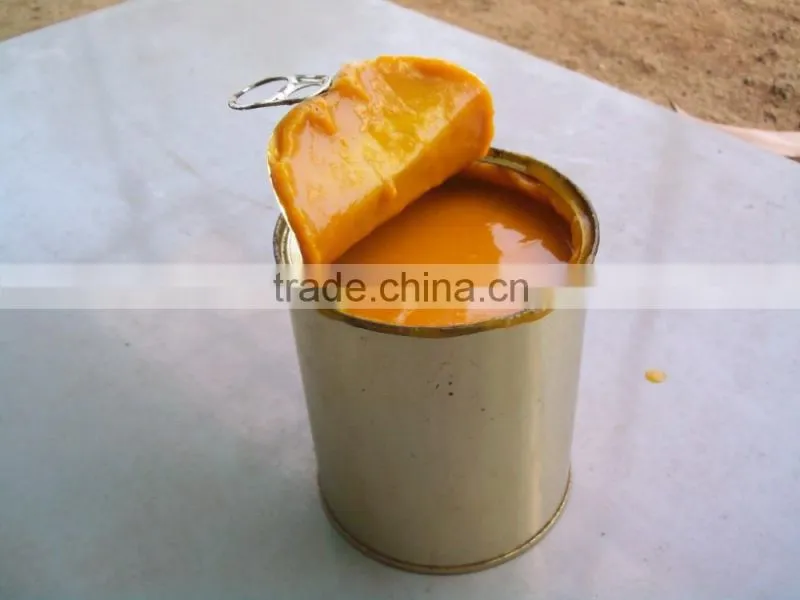 Tasty and tangy mango pulp from Fruitangies
