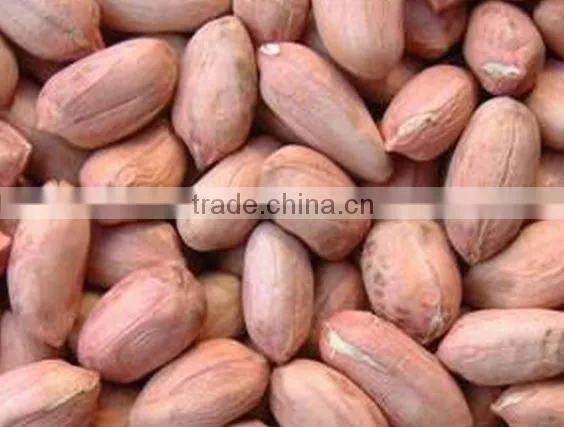 BEST QUALITY PURE FRESH RED PEANUT