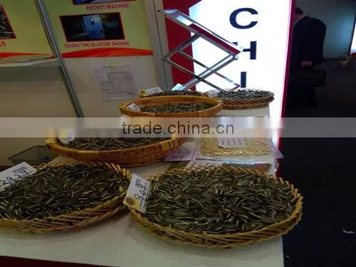 well selected sunflower seeds 5009