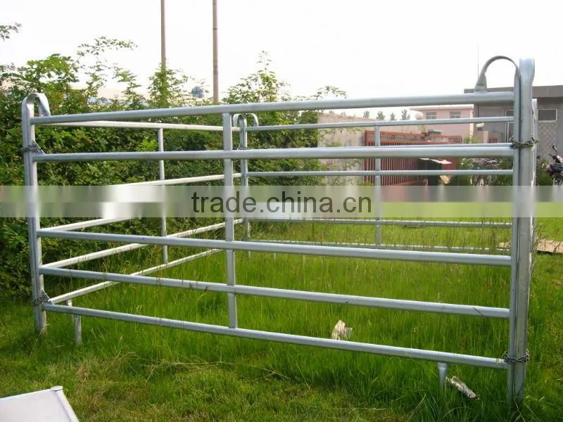 horse fence