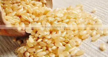 2015 Automatic Nutrition Artificial rice Extruder machine