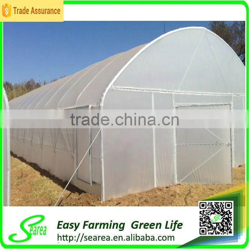 Hot sale low cost single-span plastic greenhouse for agriculture