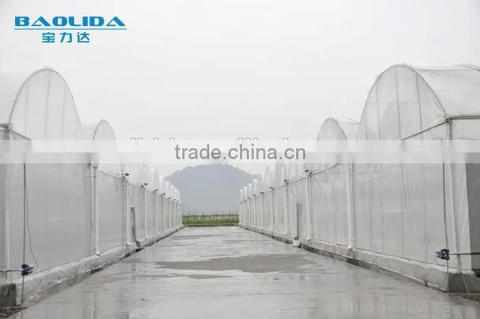 cheap easy multi-span greenhouse pe film green house