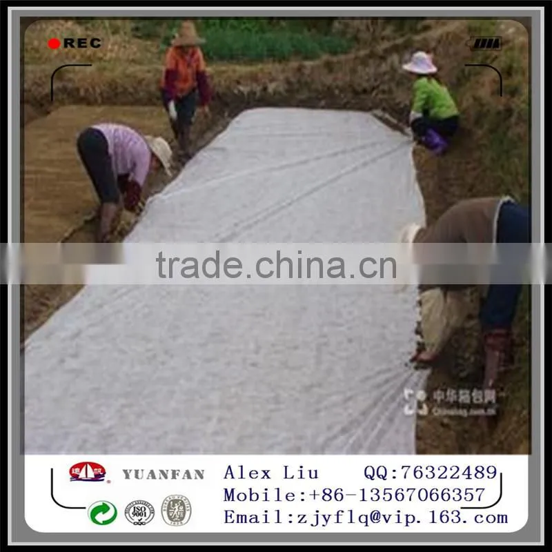 China Agricultural PP Non-woven Fabric