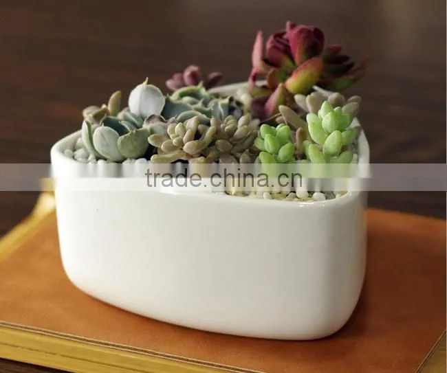 New design rounded triangle small white ceramic shallow pot