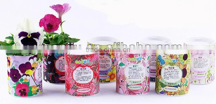 Fashion Twelve constellations lucky flower potted plant -forget-me-not