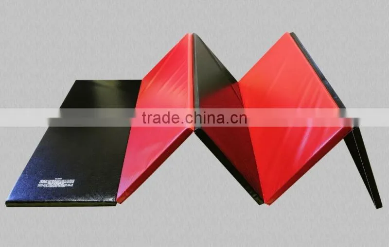 5'x10' Gymnastics, Tumbling, Exercise, Martial Arts, Multi-purpose Mat