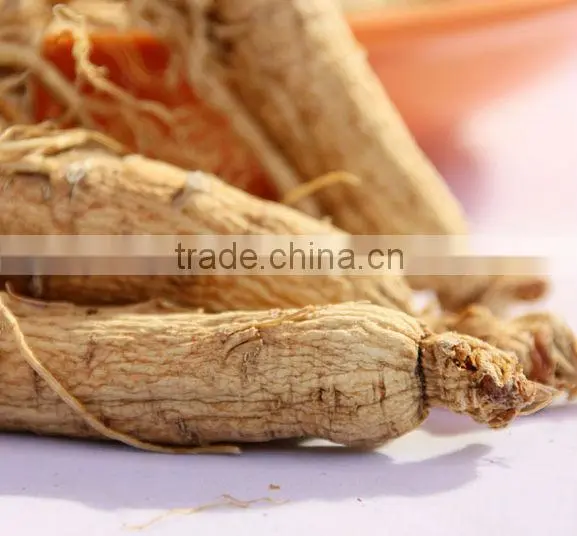 White ginseng, jilin ginseng, hot sell ginseng