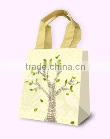 Fancy Gift Bag, Souvenir packaging Bags