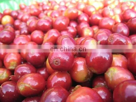 Fresh coffee peeling machine/fresh coffee bean peeler/fresh coffee bean pulper