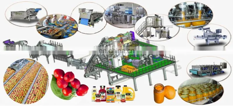 Small Automatic Fruit Pineapple Orange Juice Juicer Maker Processing Production Line