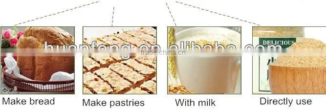 China HALAL health food! Wheat germ