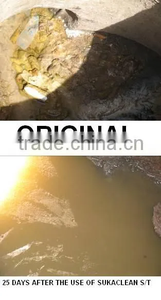 Deodorize and dilute Septic Tank Product