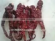 Dried Chilli