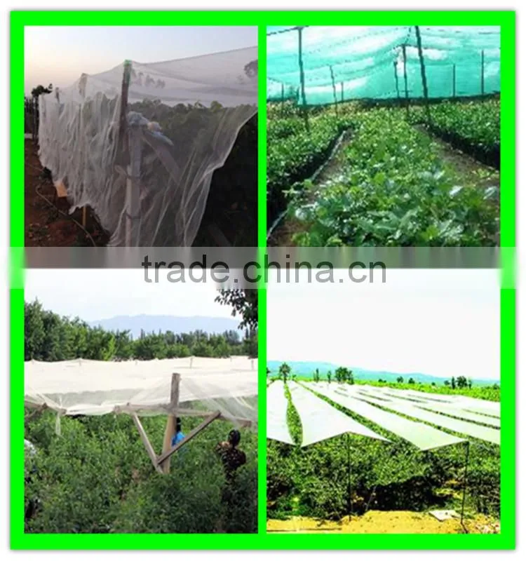 China manufacturer supply various woven hail protection mesh/anti hail structure netting/agriculture hail proof net