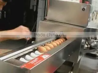 farm equipment stainless steel 3000pcs/h hen egg breaking machine for sale(008613823777570)