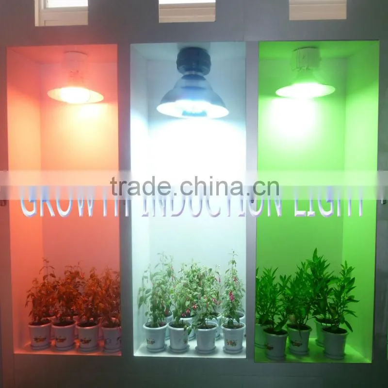 induction grow light 40w-300w