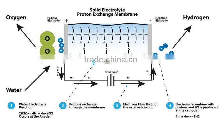 Hydrogen HHO PEM Electrolyzer Only Pure Water Needed SPE HHO Generator Hydrogen Fuel Cell