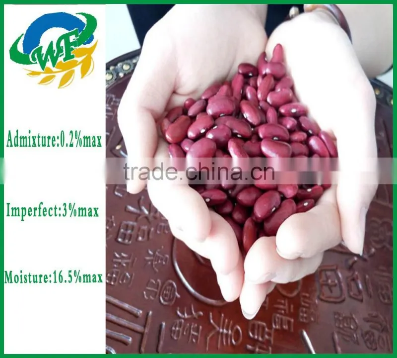 Top organic Chinese dark red kidney beans