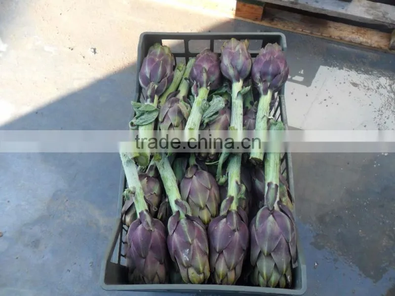 Artichokes