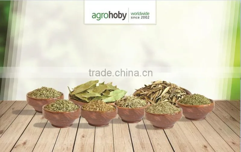 turkish Rosemary , cheap rosemary , rosemary price , high oil rosemary ,dried rosemary leaves