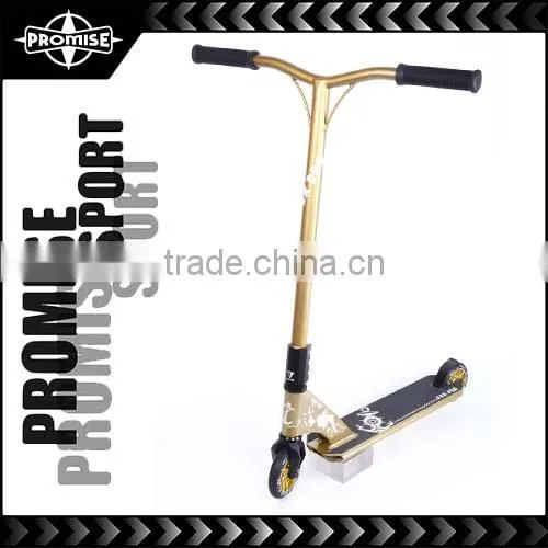 CE Approved Purple professional ski scooter