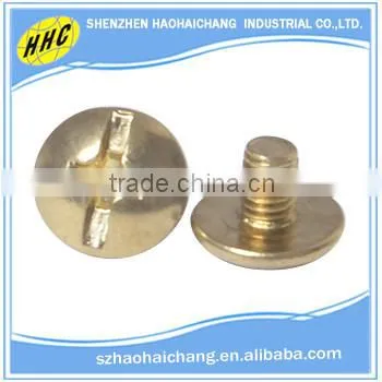 China OEM manufacturer high precison brass decorative screw