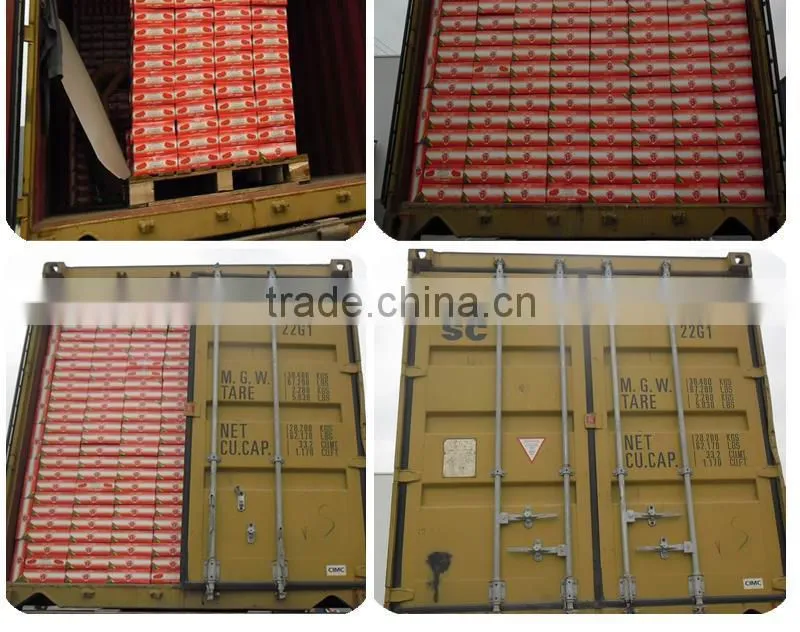 Tomato paste with tin packing in 140gX25tins