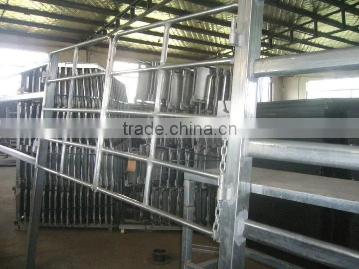 Stables for cattle barrier in galvanized for cattle