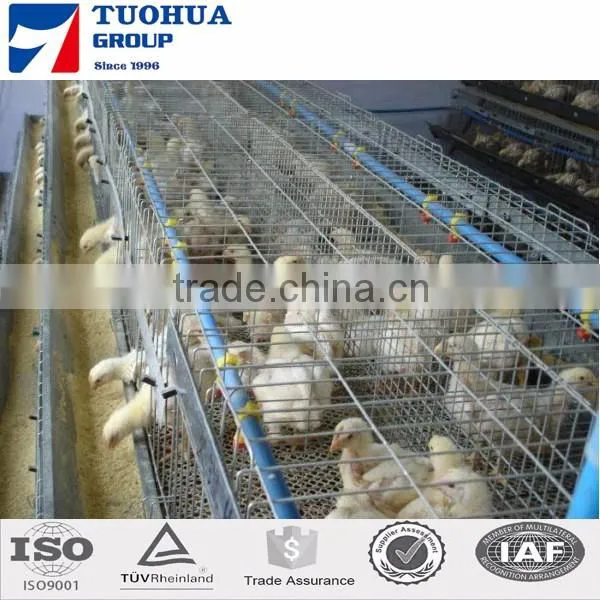 A type egg chicken layer cages,layer poultry cages
