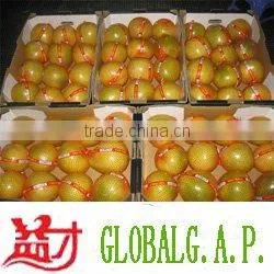 Top Honey Pomelo