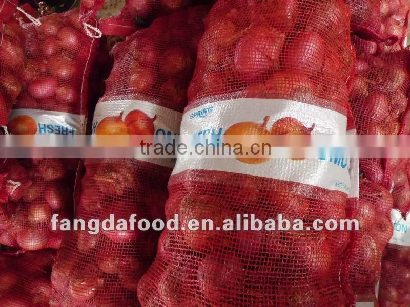 fresh yellow onion(in low price)