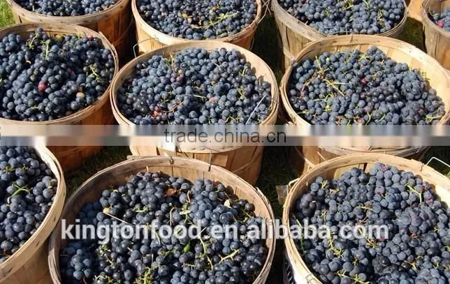 organic superior quality dried black currant