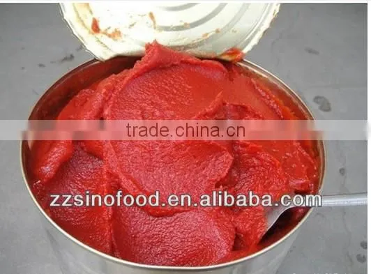 Fresh Tomato Canned Tomato Paste for Canned Metal Tins Canned Food