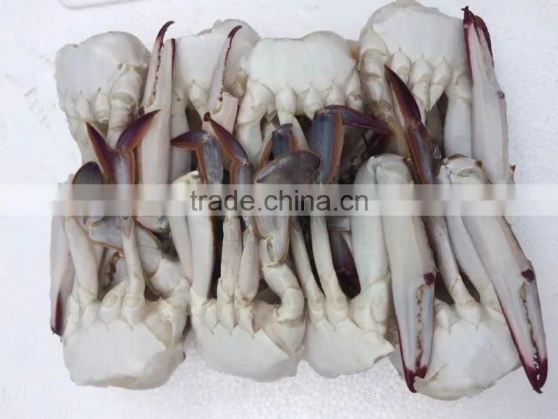 New frozen blue Swimming Crab