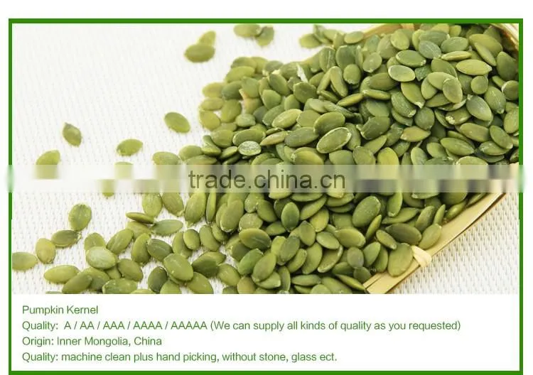 Organic Chinese shine skin pumpkin seeds kernel last price