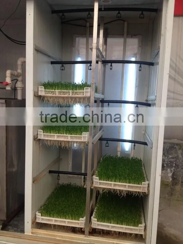 Best selling Factory Directly Bud Seeding Wheat Growing Machine For Wheat Bud Growing