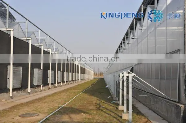 Agriculture Commercial Glass Multi Span Greenhouse