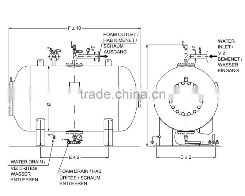 Fire fighting foam bladder tank for foam fire system