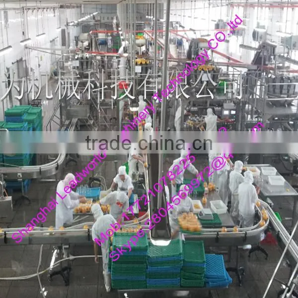 professional and hot sale canned yellow peach processing line