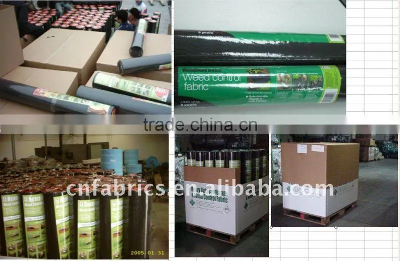 50gsm non woven Fleece roll for plant