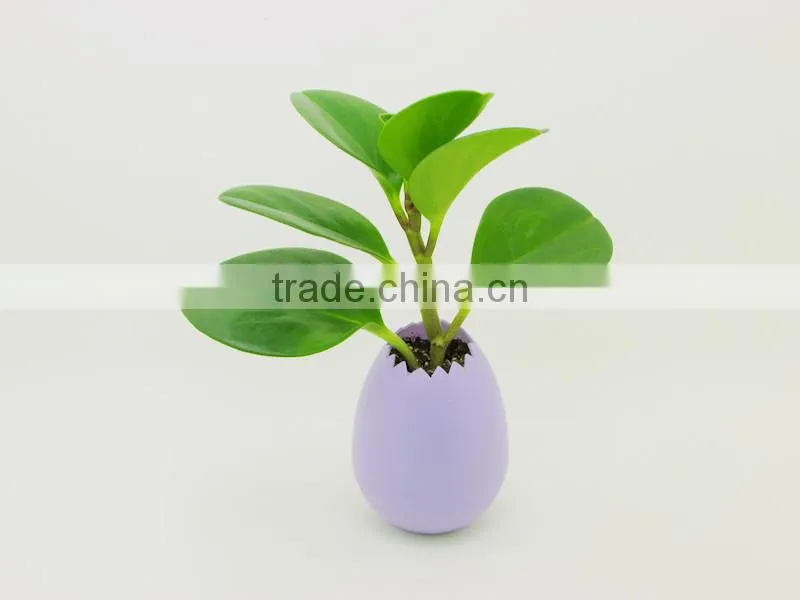 2015 New Arrival 9 Colorful Mini Plastic Flower Pot without Drainage Holes