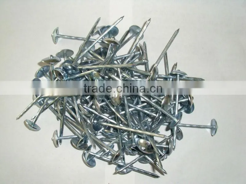 umbrella roofing nails for south africa